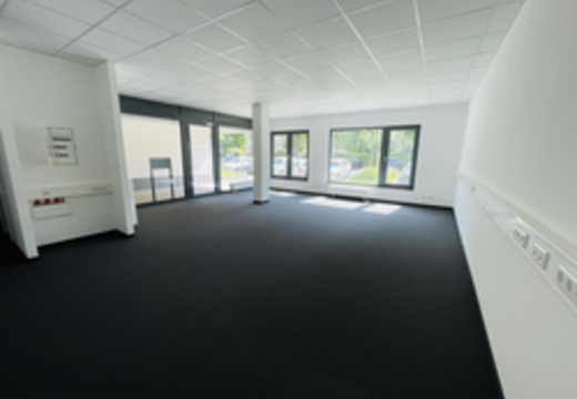 Leerer, heller Raum mit Teppichboden, weißen Wänden, abgehängter Decke und großen Fenstern, die viel Licht hereinlassen und einen Blick auf den Parkplatz im Grünen bieten.