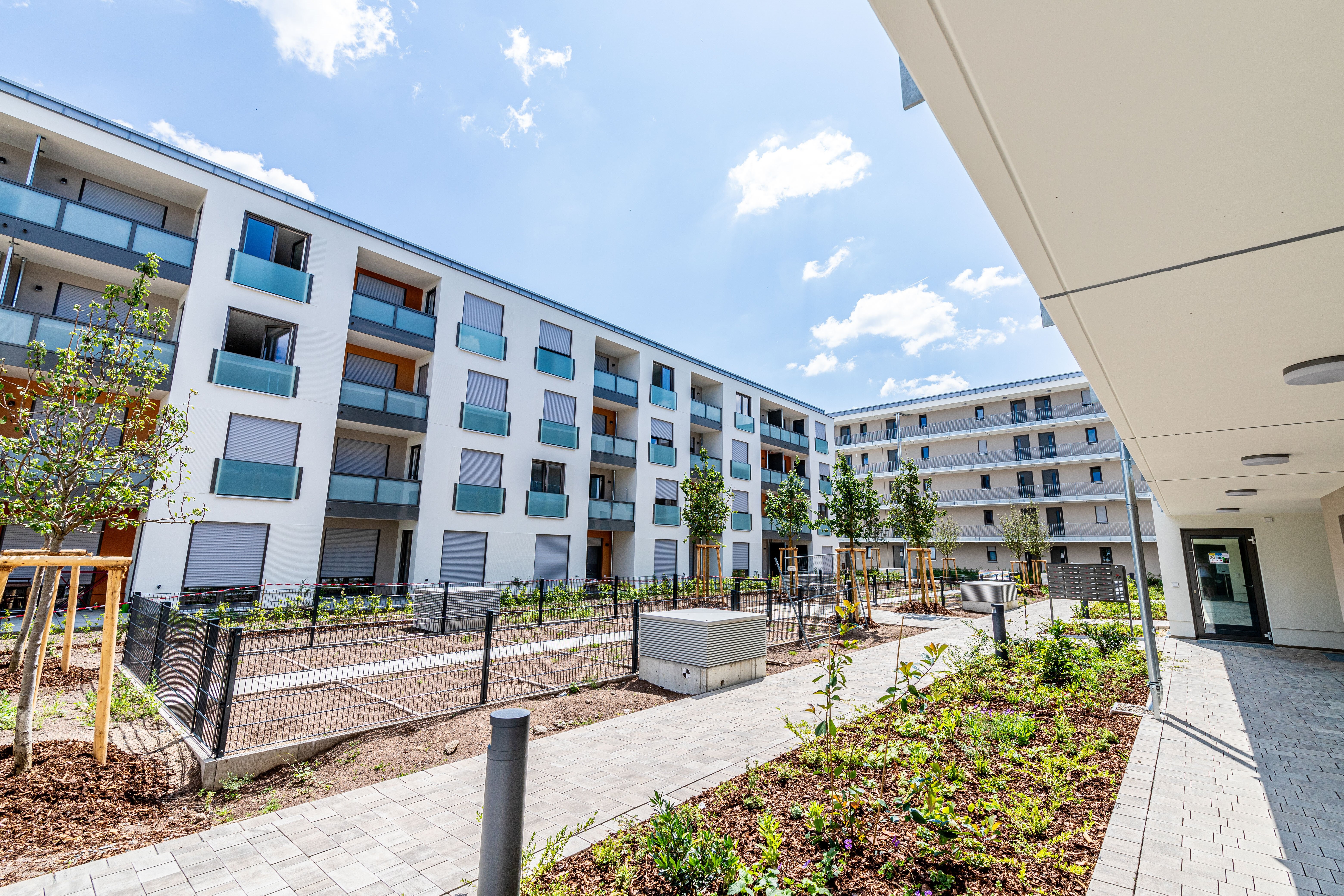 Ein neu angelegter Außenbereich mit gepflasterten Wegen und bepflanzten Beeten, umgeben von modernen, weißen Mehrfamilienhäusern mit Balkonen. Zwischen den Gebäuden ist ein Zaun zu sehen und im Hintergrund weitere Wohngebäude.